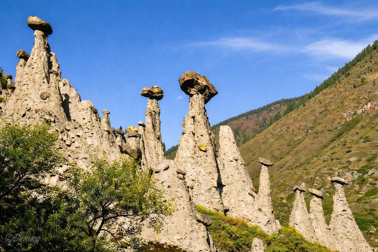 Каменные грибы